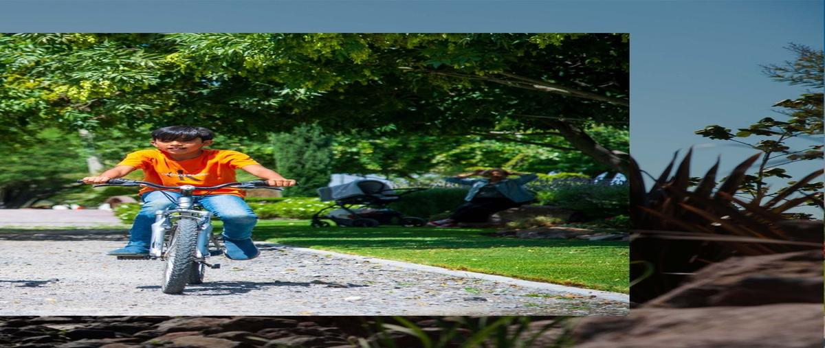 Foto de terreno habitacional en venta en carretera 413 , presa de bravo, corregidora, querétaro, 30433639 No. 04