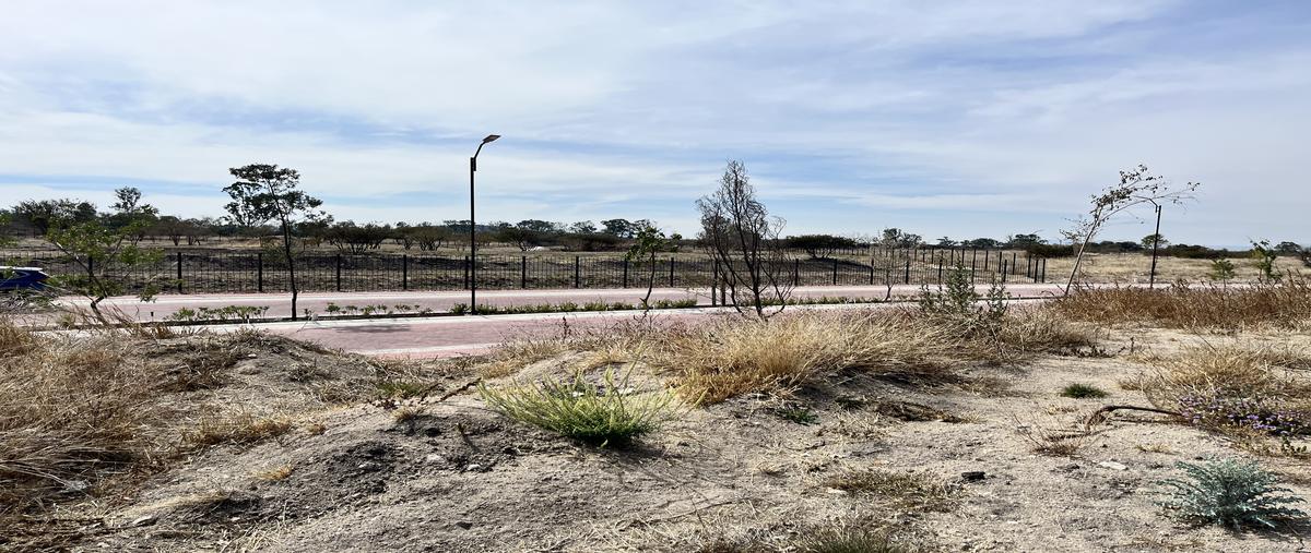 Foto de terreno habitacional en carretera 413 qro-coroneo km18+700 , bravo, corregidora, querétaro, 30879231 foto 02 Foto de terreno habitacional en renta en carretera 413 qro-coroneo km18+700 , bravo, corregidora, querétaro, 30879231 No. 02