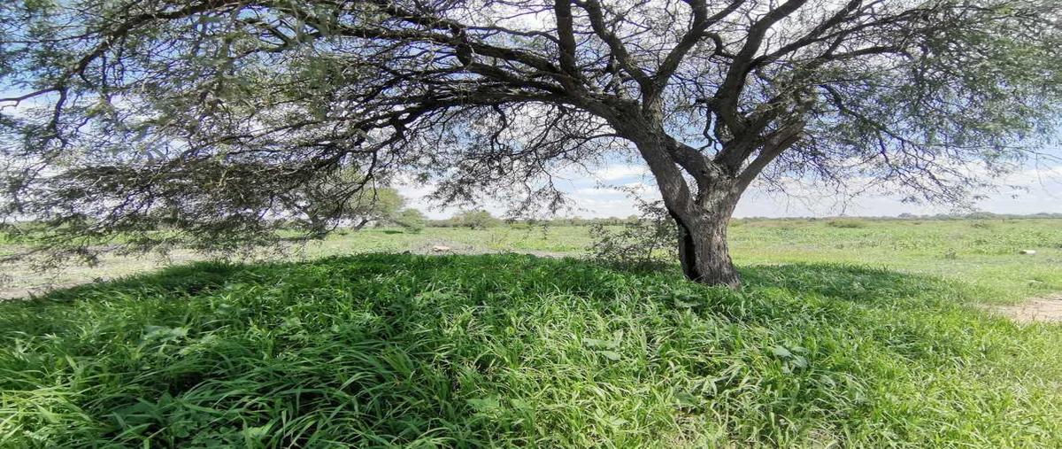 Foto de terreno habitacional en venta en carretera 432 , ajuchitlancito, pedro escobedo, querétaro, 27067130 No. 05
