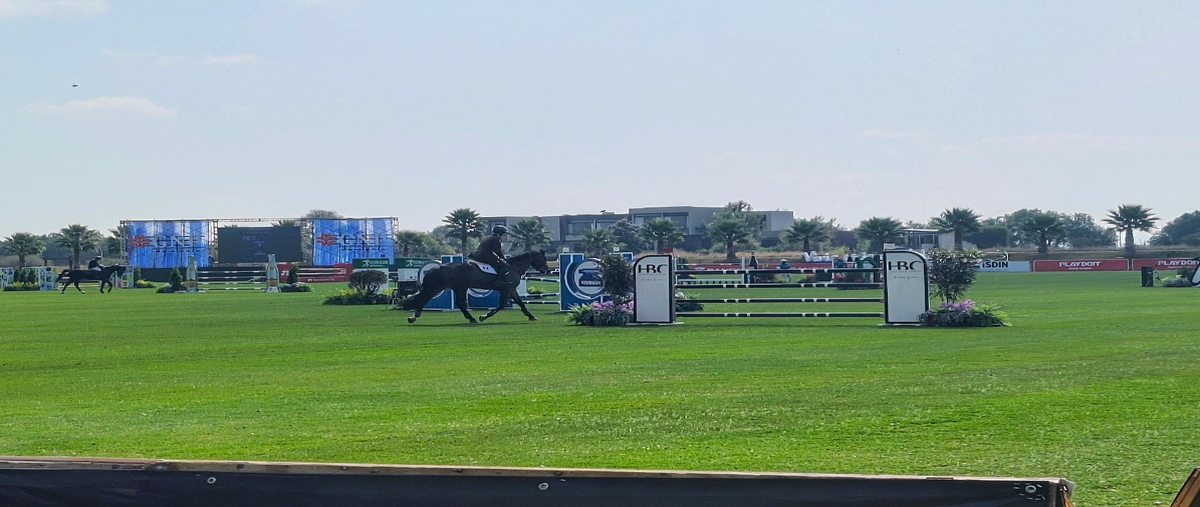 Foto de terreno habitacional en carretera 500 , polo y ski club, el marqués, querétaro, 30625259 foto 05 Foto de terreno habitacional en venta en carretera 500 , polo y ski club, el marqués, querétaro, 30625259 No. 05