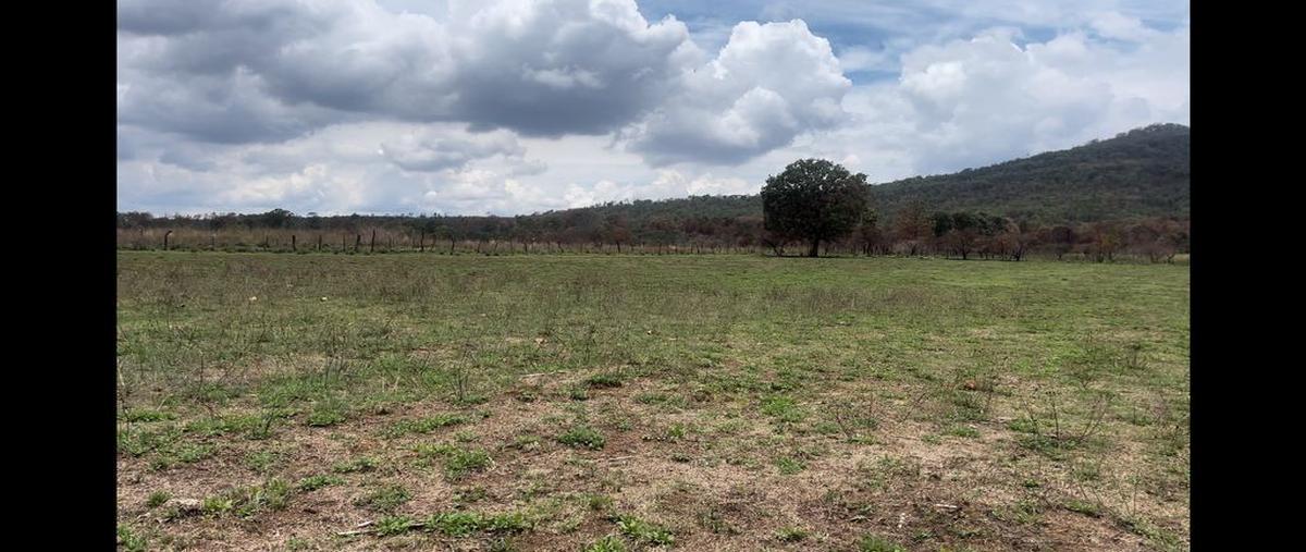 Foto de rancho en carretera 533 31, atenguillo, atenguillo, jalisco, 0 foto 02 Foto de rancho en venta en carretera 533 31, atenguillo, atenguillo, jalisco, 0 No. 02