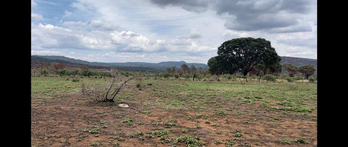 Foto de rancho en venta en carretera 533 31, atenguillo, atenguillo, jalisco, 0 No. 03