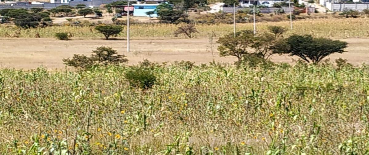 Foto de terreno comercial en venta en carretera 57 a san luis potosí , san josé iturbide centro, san josé iturbide, guanajuato, 27069296 No. 03