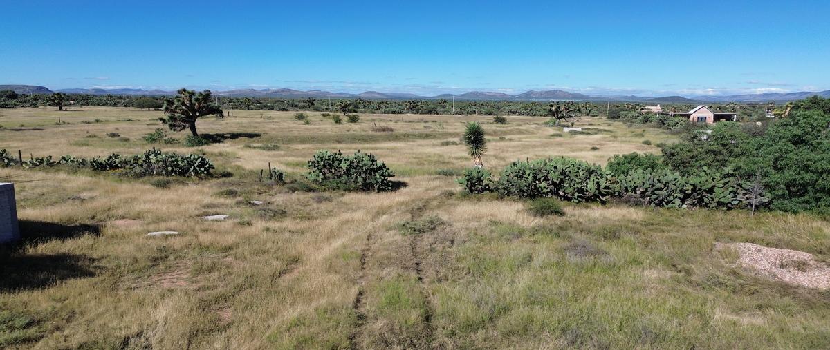 Foto de terreno comercial en venta en carretera 57 , la montañita, san luis de la paz, guanajuato, 30446849 No. 03