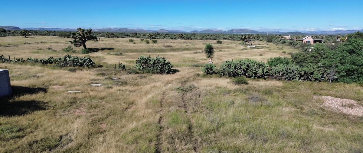 Foto de terreno comercial en venta en carretera 57 , la montañita, san luis de la paz, guanajuato, 30446849 No. 04