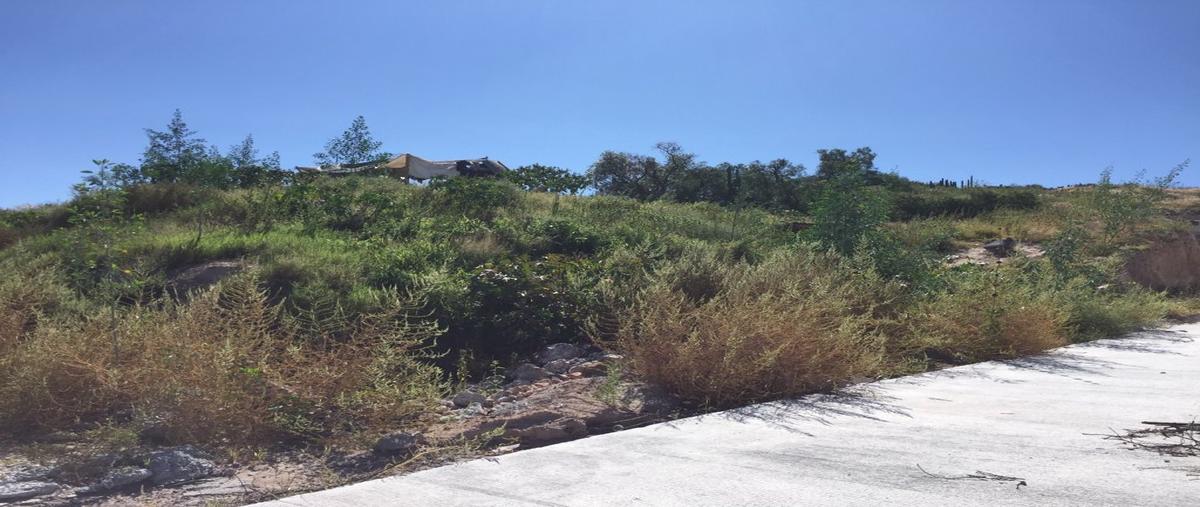 Foto de terreno industrial en venta en carretera 57 , san isidro, querétaro, querétaro, 26436118 No. 03