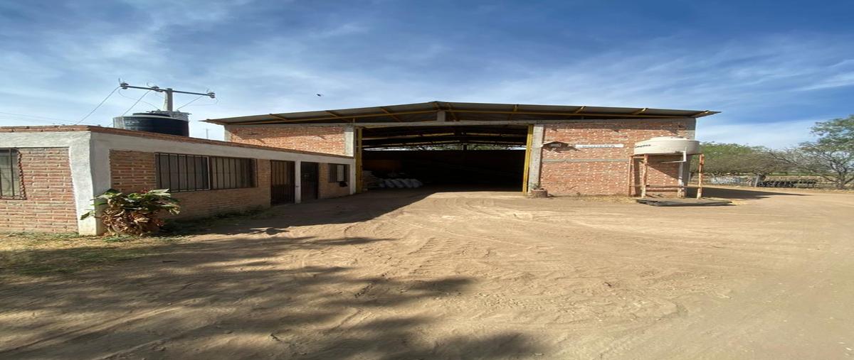 Foto de rancho en venta en carretera 90 1, rincón de romos centro, rincón de romos, aguascalientes, 0 No. 05