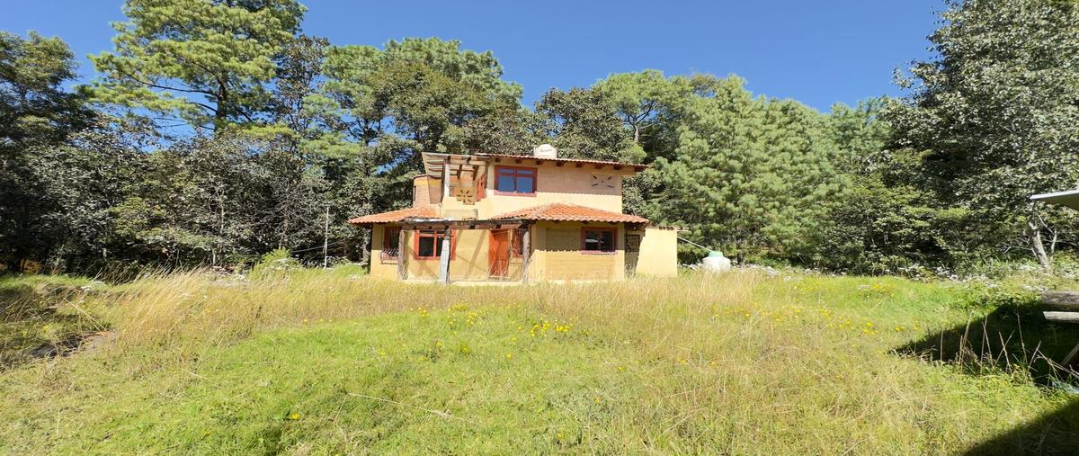 Foto de terreno habitacional en venta en carretera a 6 kilometro sobre carretera antigua san crist , zacualpan de ecatepec, san cristóbal de las casas, chiapas, 30750542 No. 03