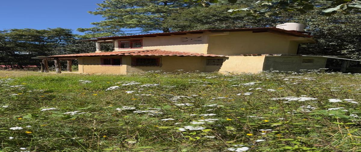 Foto de terreno habitacional en venta en carretera a 6 kilometro sobre carretera antigua san crist , zacualpan de ecatepec, san cristóbal de las casas, chiapas, 30750542 No. 04