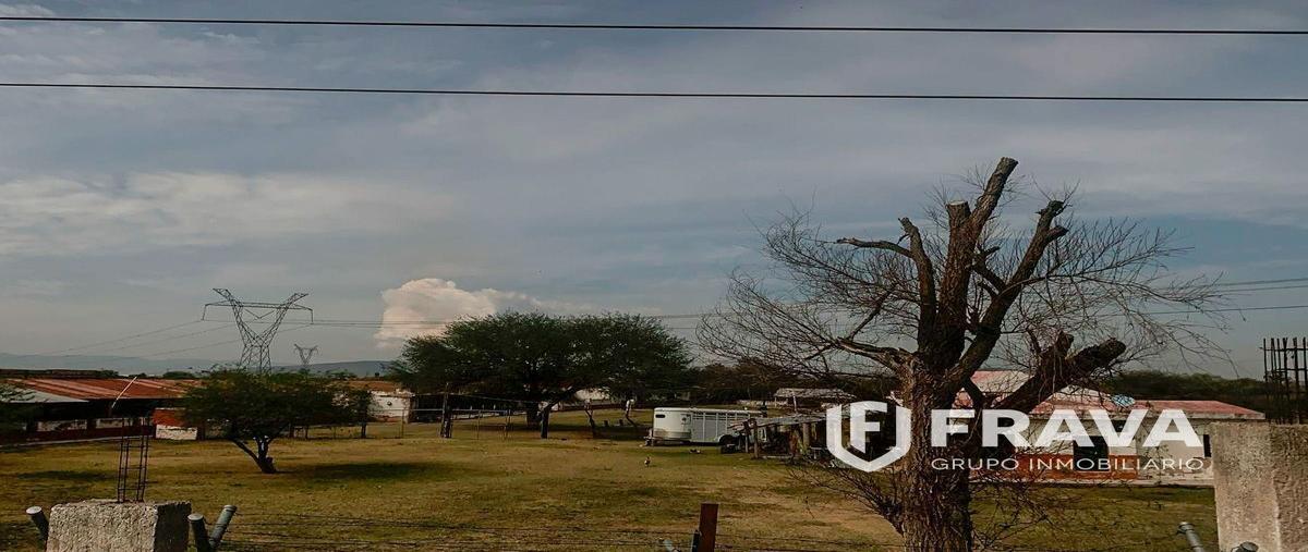 Foto de terreno habitacional en venta en carretera a acatlan - zacoalco , acatlan de juárez, acatlán de juárez, jalisco, 26764261 No. 03
