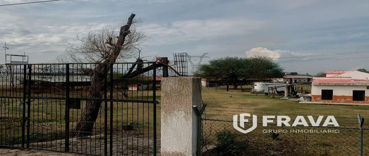 Foto de terreno habitacional en venta en carretera a acatlan - zacoalco , acatlan de juárez, acatlán de juárez, jalisco, 26764261 No. 04