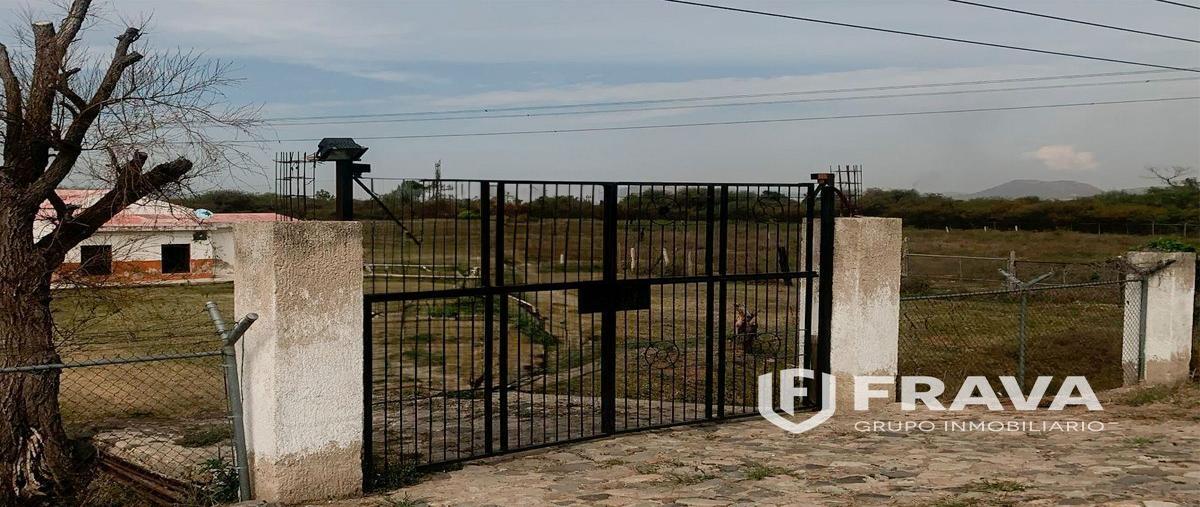Foto de terreno habitacional en venta en carretera a acatlan - zacoalco , acatlan de juárez, acatlán de juárez, jalisco, 26764261 No. 05