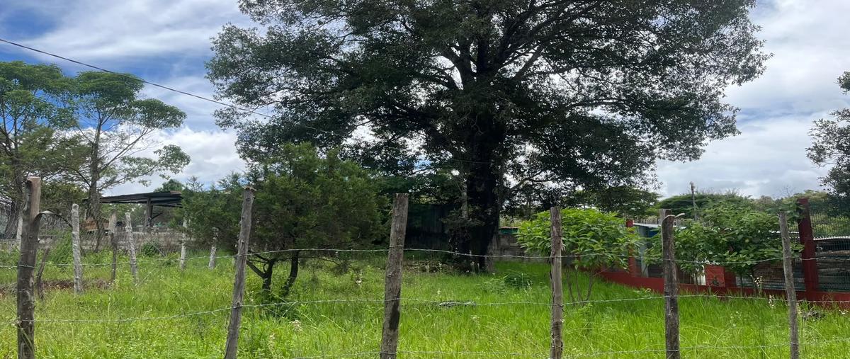 Foto de casa en carretera a amatengo del valle , amatenango del valle, amatenango del valle, chiapas, 0 foto 03 Foto de casa en venta en carretera a amatengo del valle , amatenango del valle, amatenango del valle, chiapas, 0 No. 03