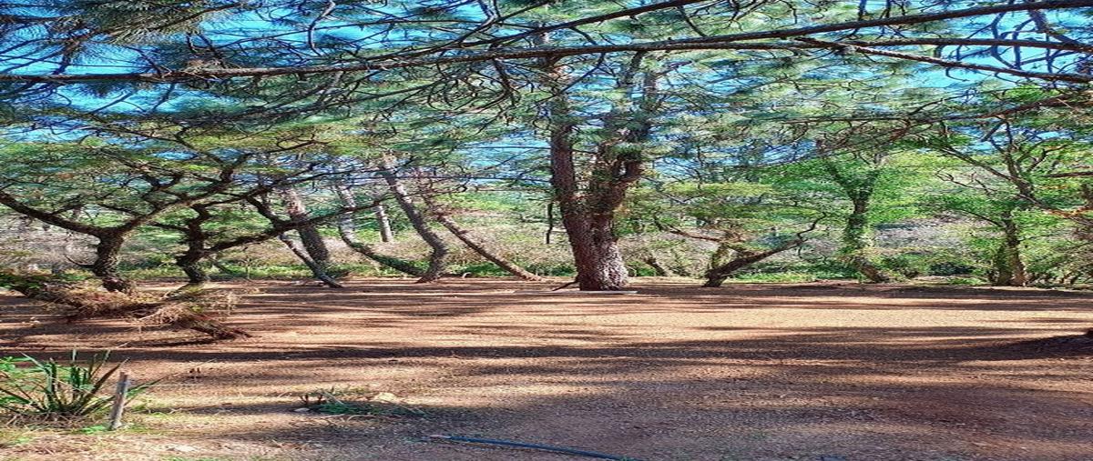 Foto de terreno habitacional en carretera a atemajac , atemajac de brizuela, atemajac de brizuela, jalisco, 30531903 foto 03 Foto de terreno habitacional en venta en carretera a atemajac , atemajac de brizuela, atemajac de brizuela, jalisco, 30531903 No. 03