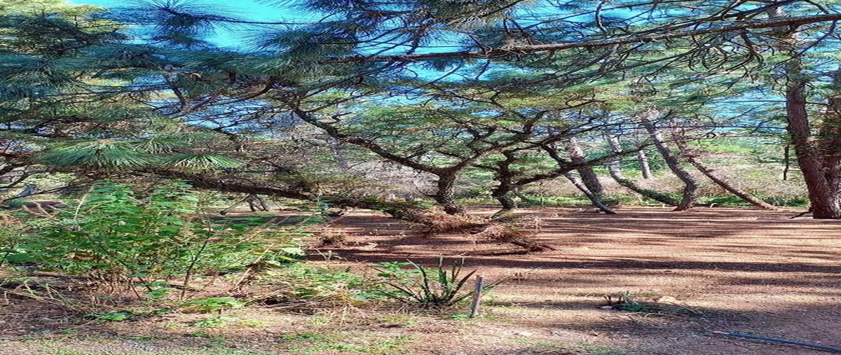 Foto de terreno habitacional en carretera a atemajac , atemajac de brizuela, atemajac de brizuela, jalisco, 30531903 foto 04 Foto de terreno habitacional en venta en carretera a atemajac , atemajac de brizuela, atemajac de brizuela, jalisco, 30531903 No. 04