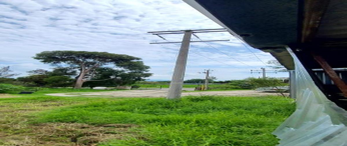 Foto de bodega en renta en carretera a atenquique , la mesa (el fresnito), zapotlán el grande, jalisco, 0 No. 11