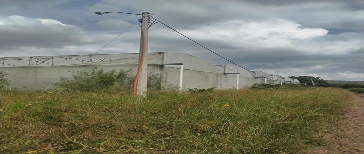 Foto de terreno comercial en venta en carretera a autlan , centro unión de tula, unión de tula, jalisco, 0 No. 03