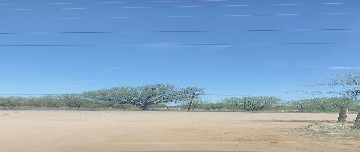 Foto de terreno industrial en venta en carretera a bahía de kino , hermosillo, hermosillo, sonora, 28174902 No. 03