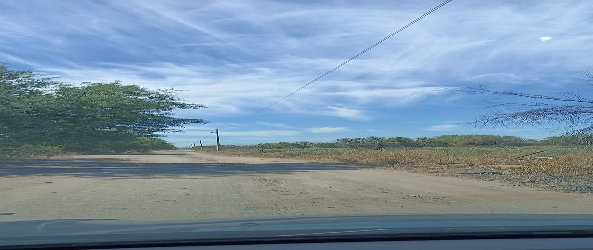 Foto de terreno industrial en venta en carretera a bahía de kino , hermosillo, hermosillo, sonora, 28174902 No. 05