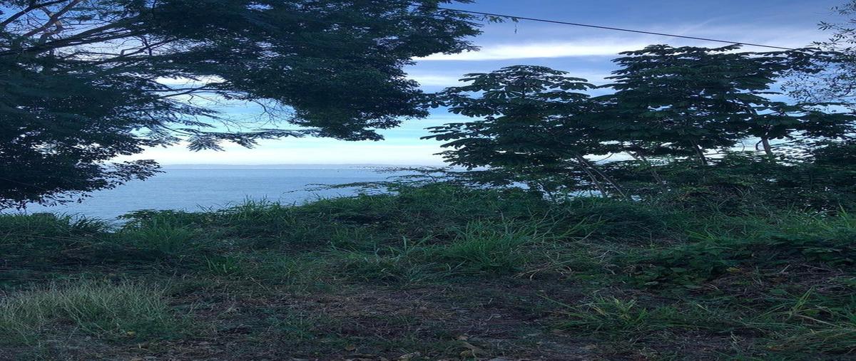 Foto de terreno habitacional en carretera a barra de navidad kilometro 13.5 , paraíso, puerto vallarta, jalisco, 31002239 foto 05 Foto de terreno habitacional en venta en carretera a barra de navidad kilometro 13.5 , paraíso, puerto vallarta, jalisco, 31002239 No. 05