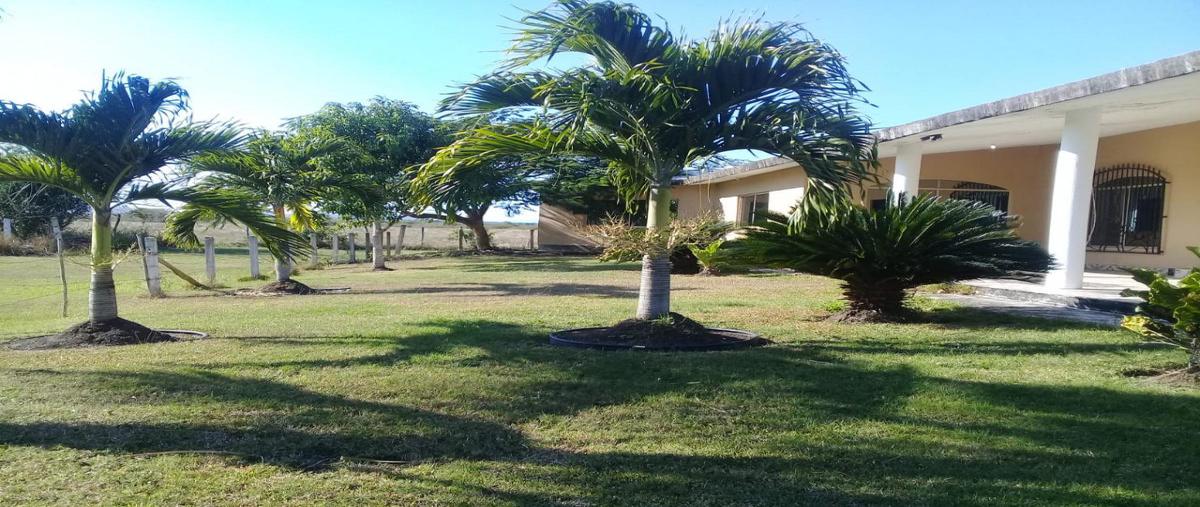 Foto de casa en venta en carretera a barra del tordo , el pichijumo, aldama, tamaulipas, 0 No. 03