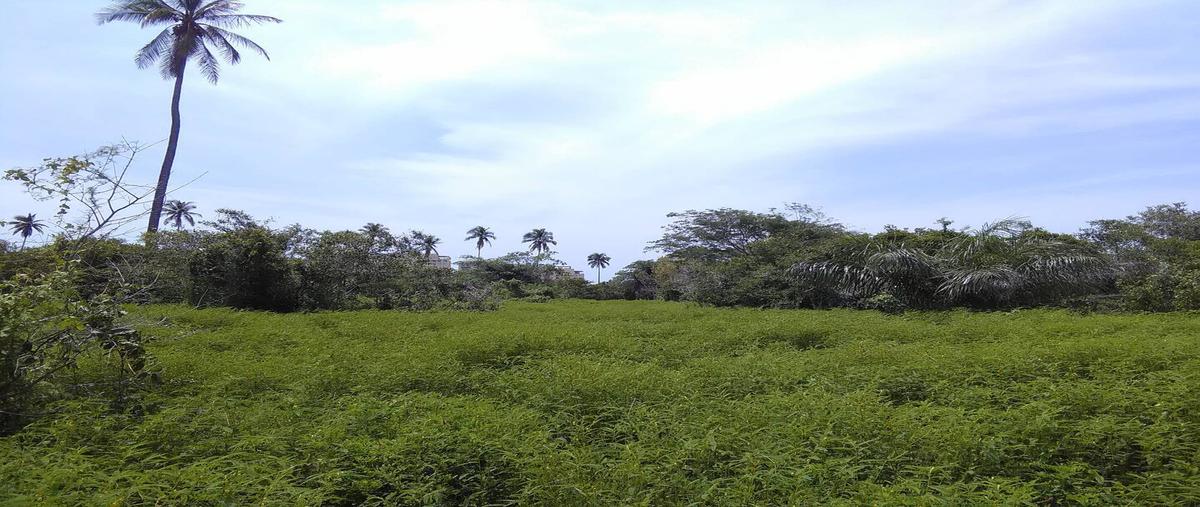 Foto de terreno comercial en carretera a barra vieja 1, plan de los amates, acapulco de juárez, guerrero, 0 foto 02 Foto de terreno comercial en venta en carretera a barra vieja 1, plan de los amates, acapulco de juárez, guerrero, 0 No. 02