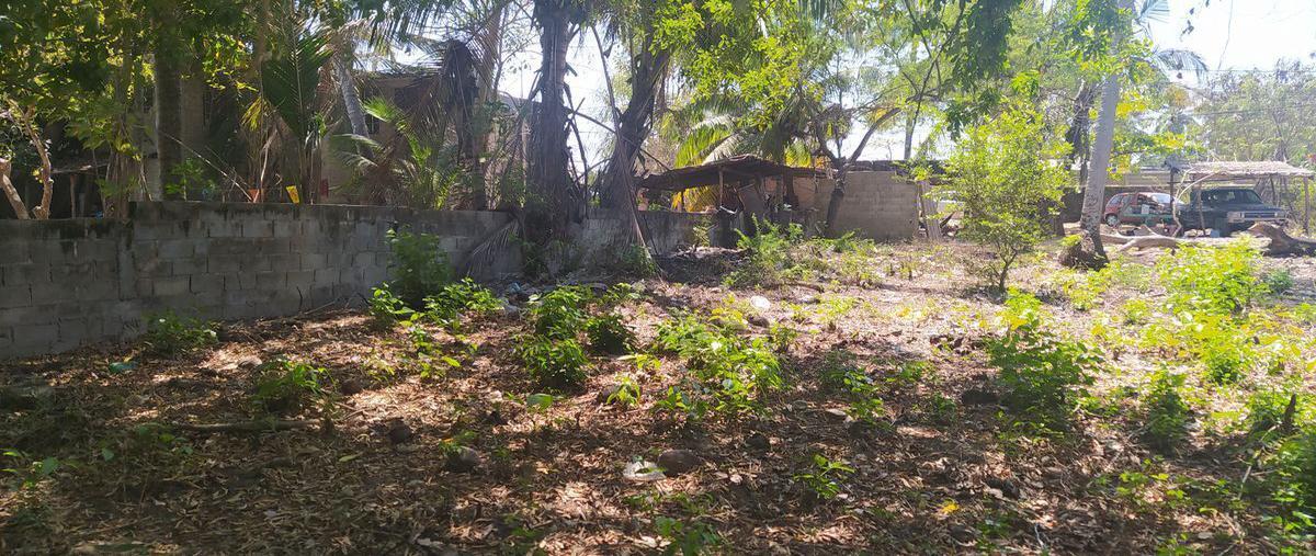 Foto de terreno habitacional en venta en carretera a barra vieja , lomas de chapultepec, acapulco de juárez, guerrero, 23499339 No. 04