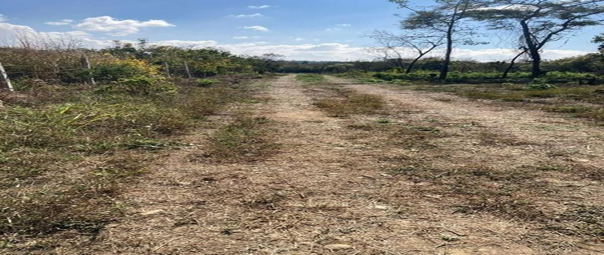 Foto de terreno habitacional en venta en carretera a berriozabal , candox, tuxtla gutiérrez, chiapas, 26109387 No. 03