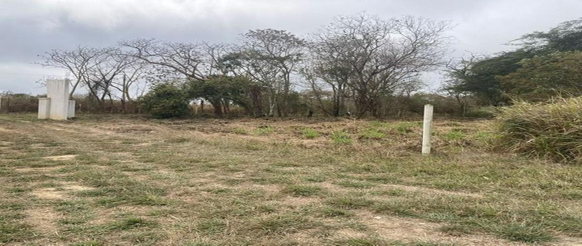 Foto de terreno habitacional en venta en carretera a berriozabal , candox, tuxtla gutiérrez, chiapas, 26109387 No. 04