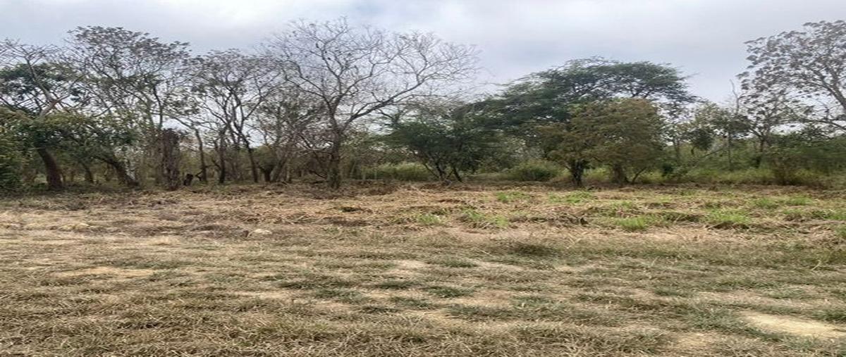 Foto de terreno habitacional en venta en carretera a berriozabal , candox, tuxtla gutiérrez, chiapas, 26109387 No. 05