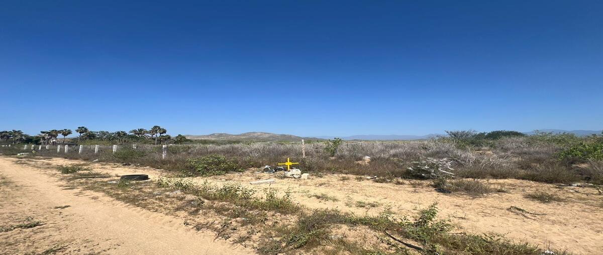 Foto de terreno habitacional en carretera a cabo san lucas , plutarco elias calles, la paz, baja california sur, 28924828 foto 01 Foto de terreno habitacional en venta en carretera a cabo san lucas , plutarco elias calles, la paz, baja california sur, 28924828 No. 01
