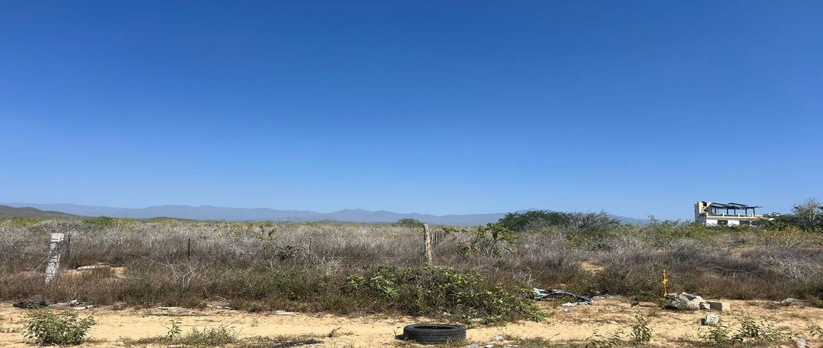 Foto de terreno habitacional en carretera a cabo san lucas , plutarco elias calles, la paz, baja california sur, 28924828 foto 02 Foto de terreno habitacional en venta en carretera a cabo san lucas , plutarco elias calles, la paz, baja california sur, 28924828 No. 02