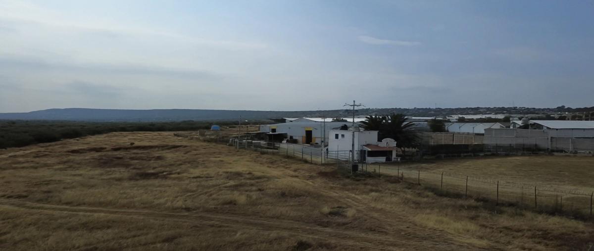 Foto de terreno industrial en venta en carretera a celaya , san isidro del llanito, apaseo el alto, guanajuato, 29472565 No. 05