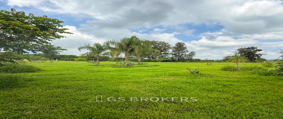 Foto de terreno habitacional en venta en carretera a chapala , buenavista, ixtlahuacán de los membrillos, jalisco, 30247445 No. 04