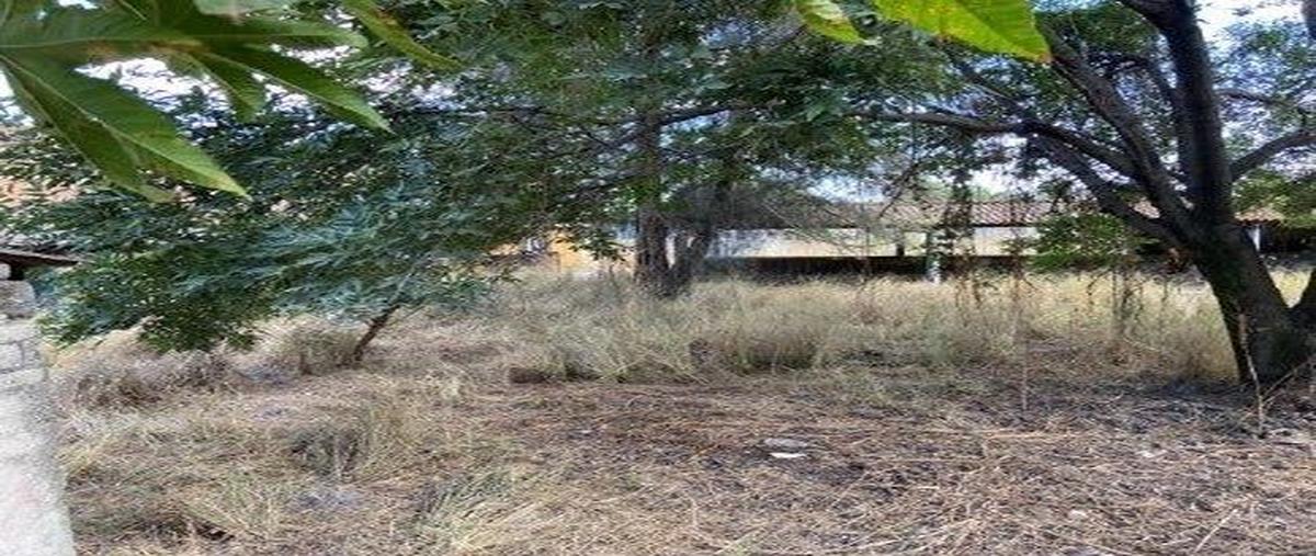 Foto de terreno habitacional en carretera a chapala , el zapote del valle, tlajomulco de zúñiga, jalisco, 27805774 foto 05 Foto de terreno habitacional en venta en carretera a chapala , el zapote del valle, tlajomulco de zúñiga, jalisco, 27805774 No. 05