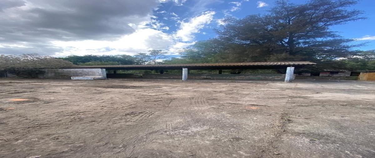 Foto de terreno habitacional en renta en carretera a chapala , el zapote del valle, tlajomulco de zúñiga, jalisco, 29414414 No. 04