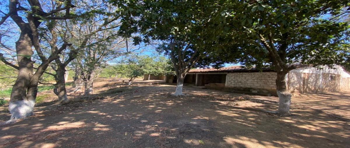 Foto de rancho en venta en carretera a chiapilla , belén, acala, chiapas, 27826263 No. 03