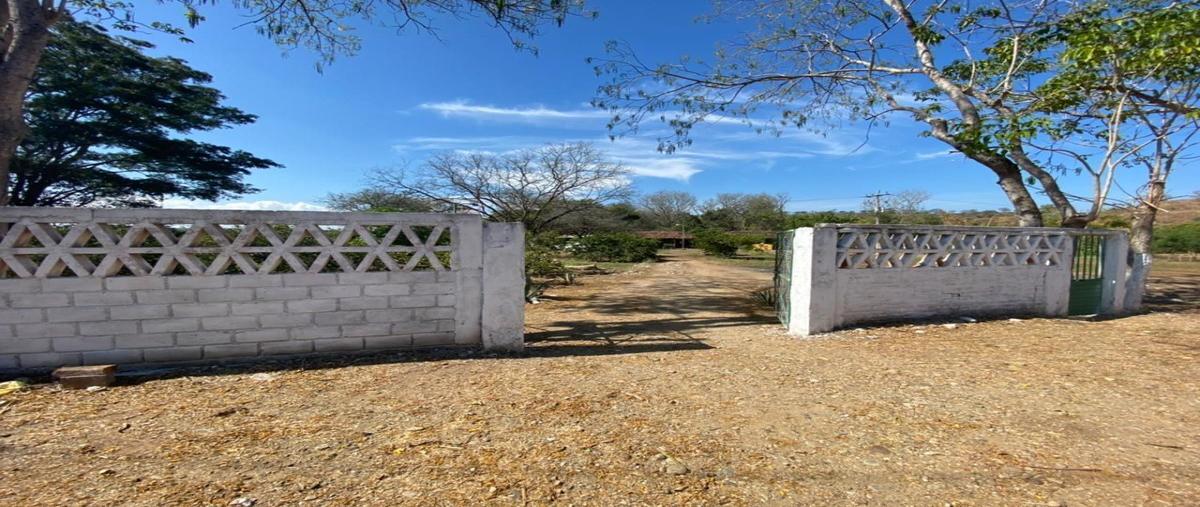 Foto de rancho en venta en carretera a chiapilla , belén, acala, chiapas, 27826263 No. 04