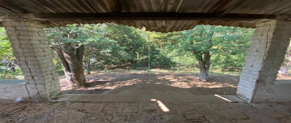 Foto de rancho en venta en carretera a chiapilla , belén, acala, chiapas, 27826263 No. 05