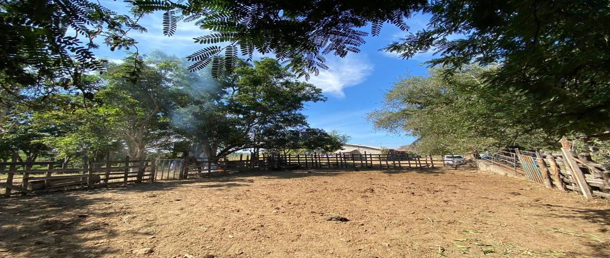 Foto de rancho en venta en carretera a chiapilla , belén, acala, chiapas, 28176437 No. 03
