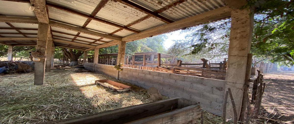 Foto de rancho en venta en carretera a chiapilla , belén, acala, chiapas, 28176437 No. 04