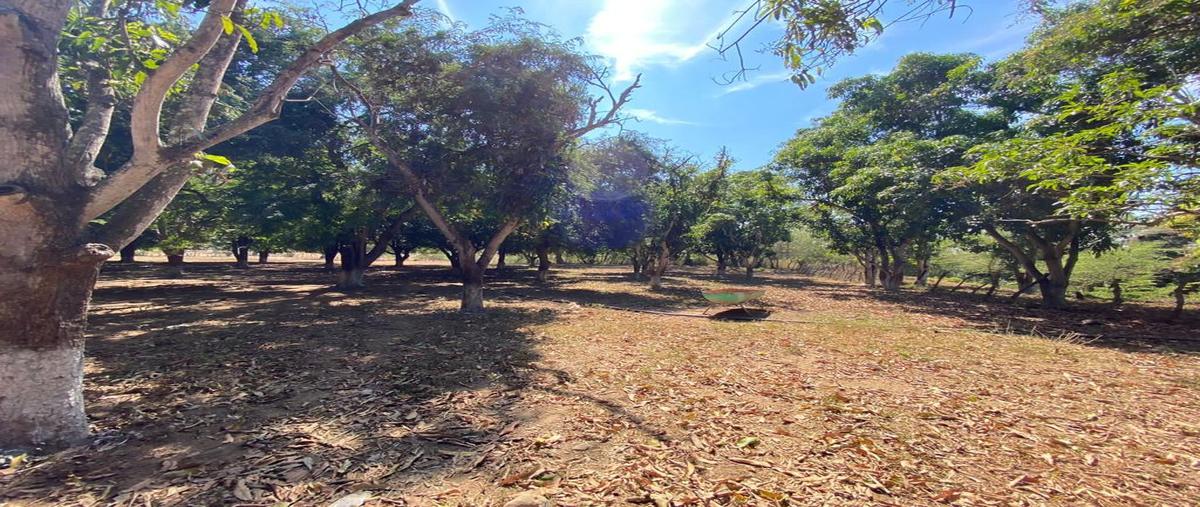 Foto de rancho en venta en carretera a chiapilla , belén, acala, chiapas, 28176437 No. 05