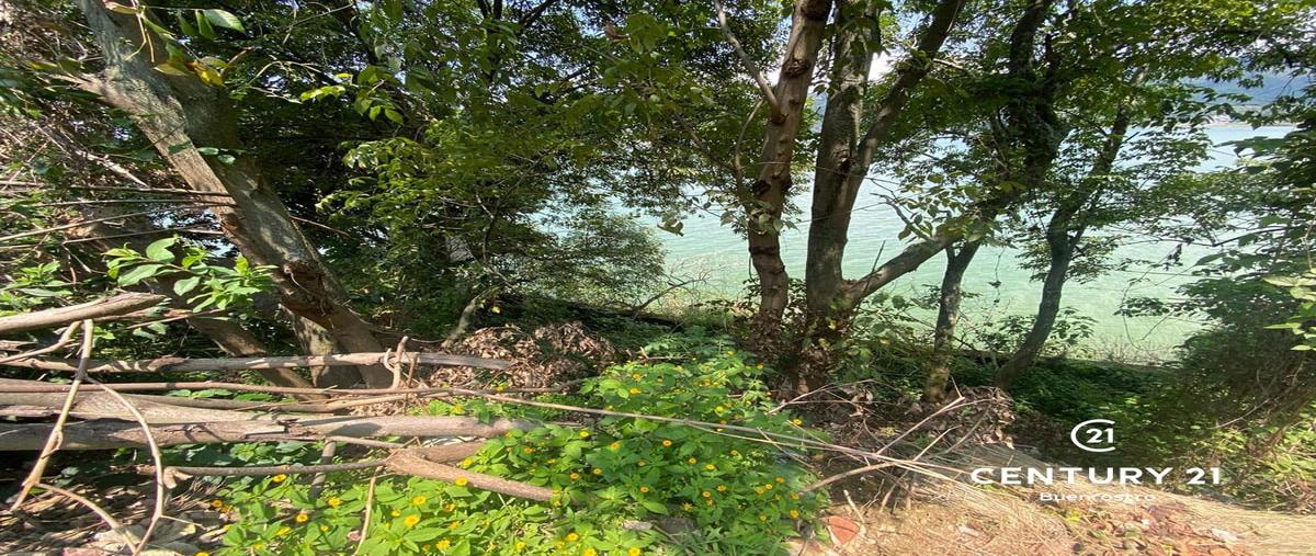 Foto de terreno habitacional en venta en carretera a colorines el arco , san antonio, valle de bravo, méxico, 0 No. 04