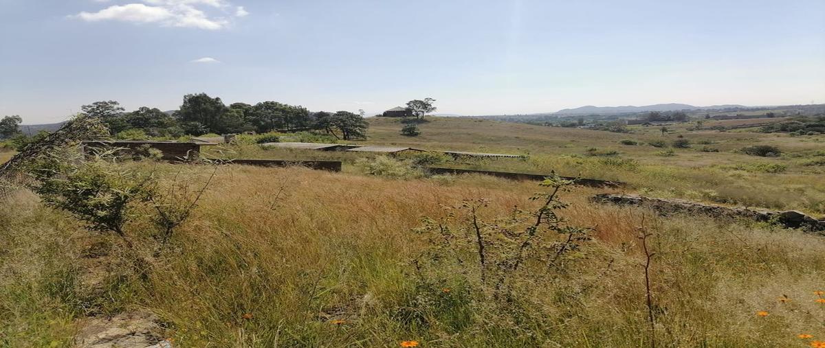 Foto de terreno habitacional en venta en carretera a colotlan kilometro 10.5 , hacienda cópala, zapopan, jalisco, 0 No. 03