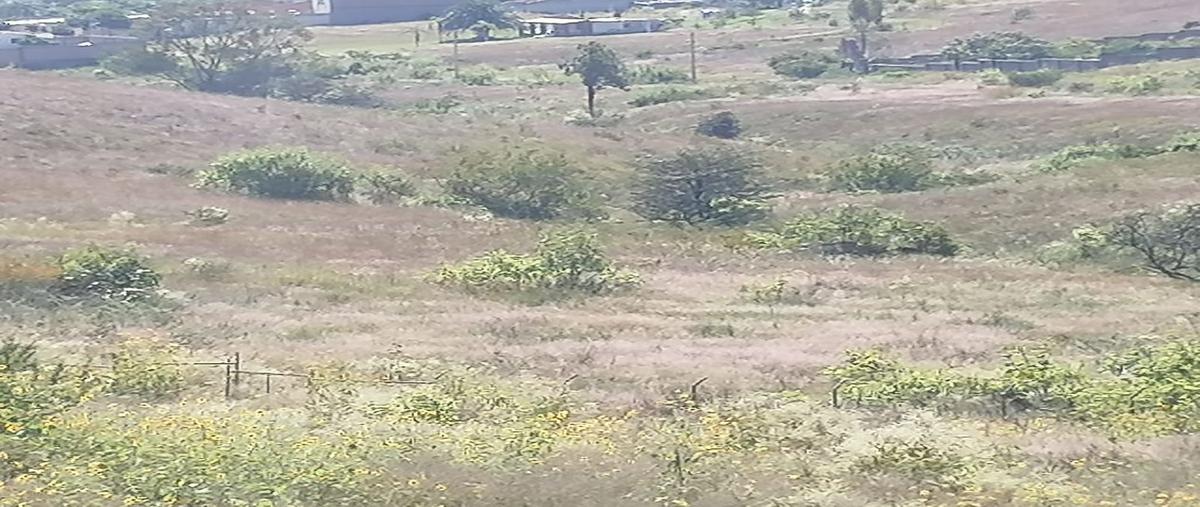 Foto de terreno habitacional en venta en carretera a colotlan kilometro 10.5 , hacienda cópala, zapopan, jalisco, 0 No. 05