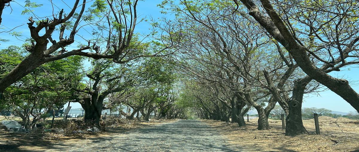 Foto de terreno habitacional en venta en carretera a colotlán kilometro 6.5 calle colinas de la estrella , el mesón de cópala, zapopan, jalisco, 0 No. 04