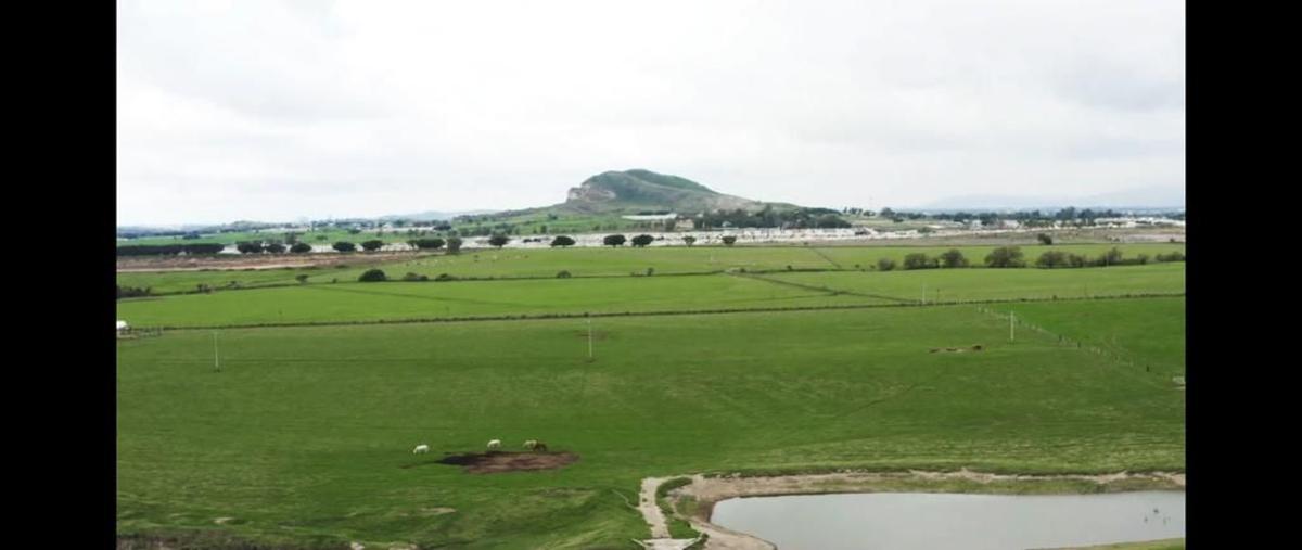 Foto de terreno habitacional en venta en carretera a colotlan kilometro 6.5, san cristóbal de la barranca, san cristóbal de la barranca, jalisco, 0 No. 03