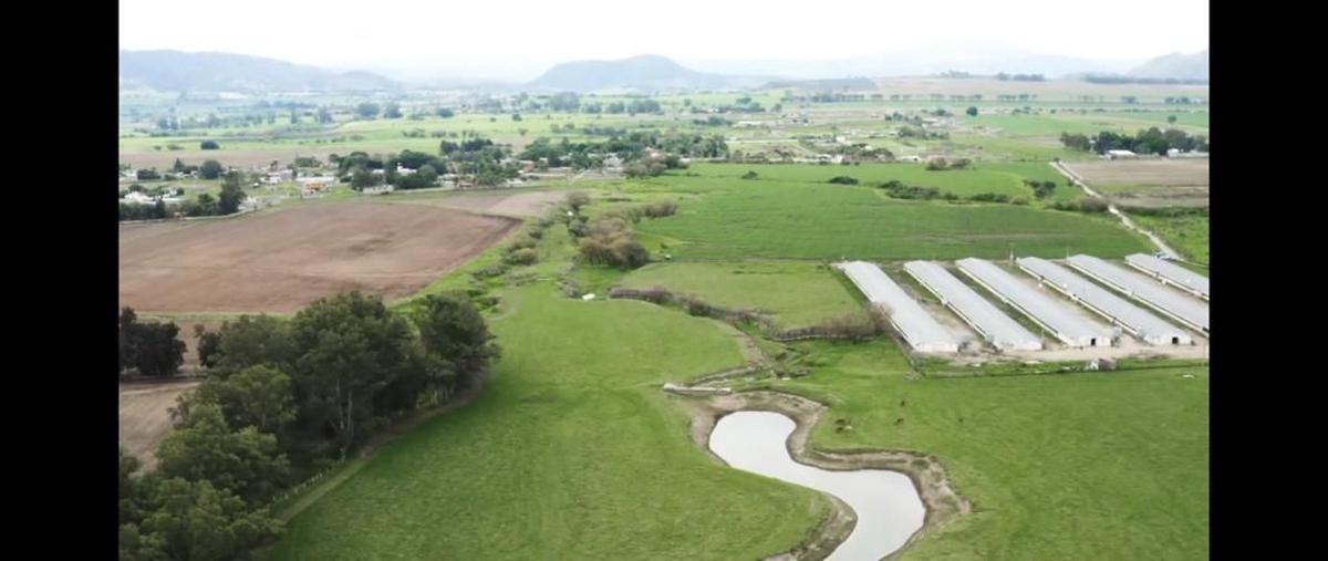 Foto de terreno habitacional en venta en carretera a colotlan kilometro 6.5, san cristóbal de la barranca, san cristóbal de la barranca, jalisco, 0 No. 05