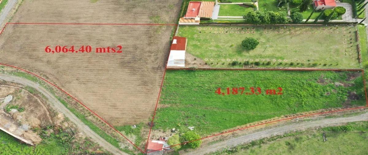 Foto de terreno habitacional en venta en carretera a colotlan #km 6.5 , ejido copalita, zapopan, jalisco, 0 No. 03