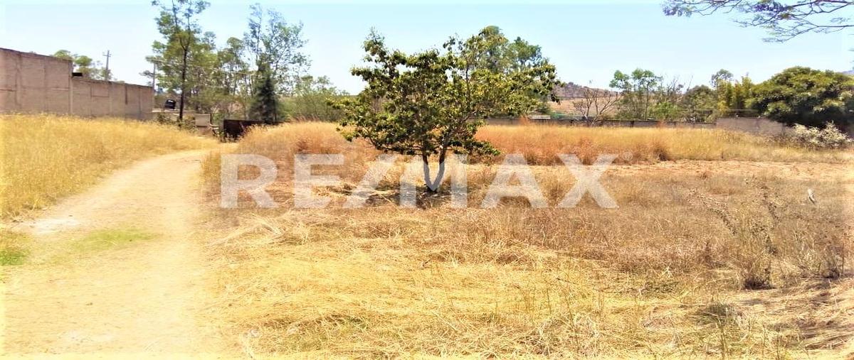 Foto de rancho en venta en carretera a colotlan , parques de tesistán, zapopan, jalisco, 0 No. 05
